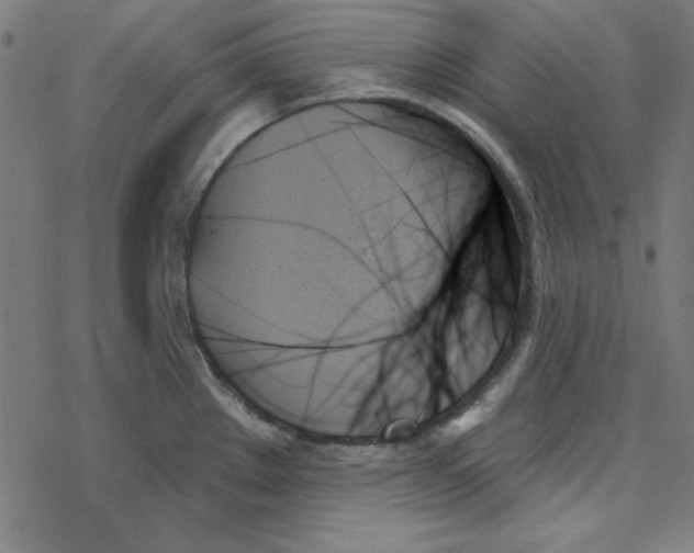 X0000078271289200612011710