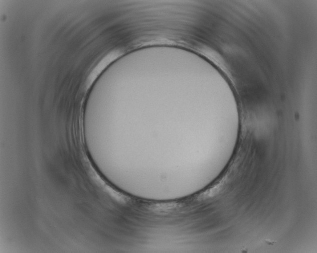 X0000078271290200612011710