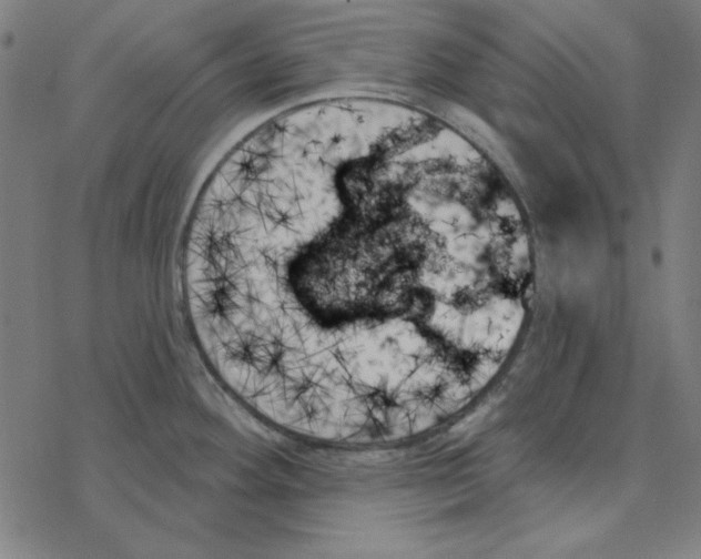 X0000078271292200612011710