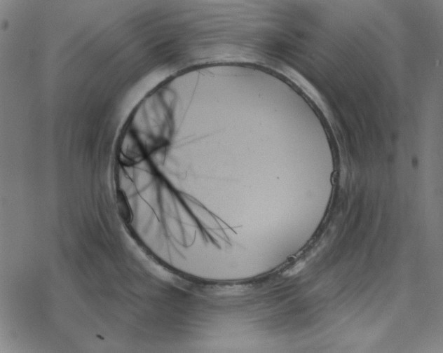 X0000078271293200612011710