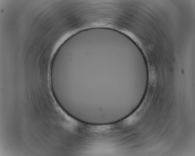 X0000078271294200612011710