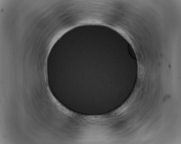 X0000078271295200612011710