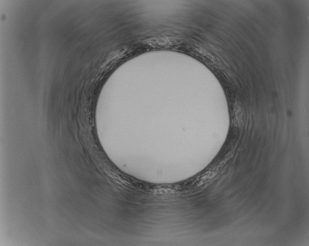 X0000078271297200612011709