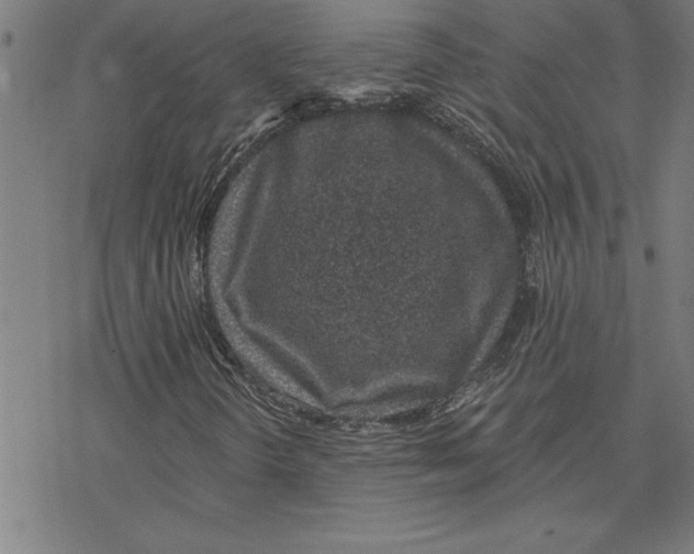 X0000078271298200612011709