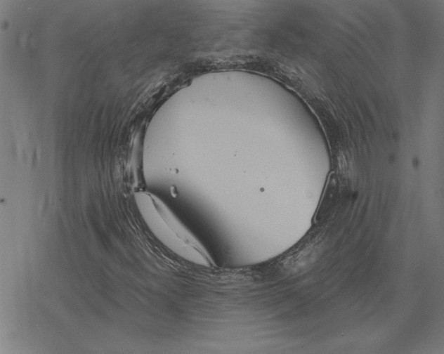 X0000078271300200612011709