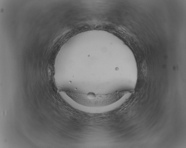 X0000078271302200612011709