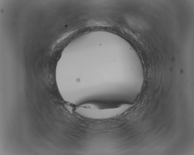 X0000078271303200612011709