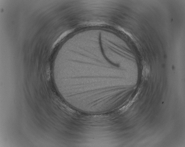 X0000078271306200612011709