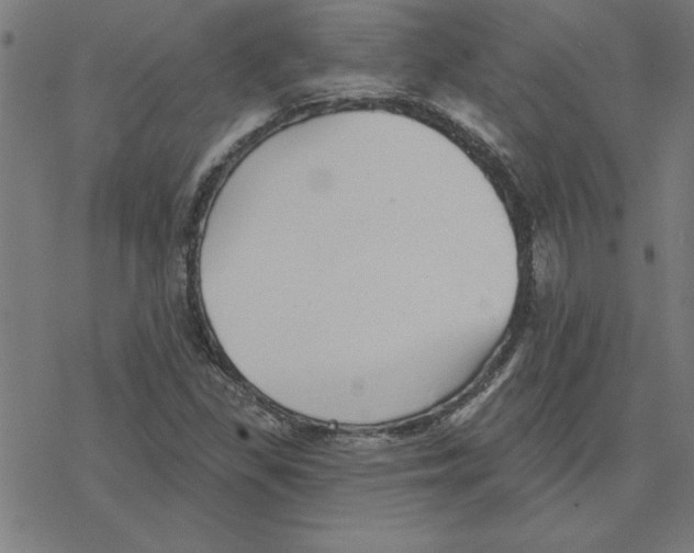 X0000078271309200612011709