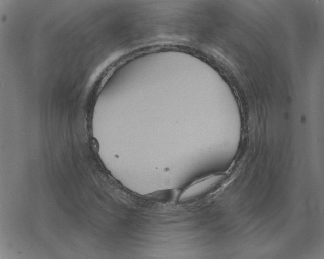 X0000078271310200612011709