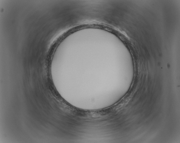 X0000078271311200612011709