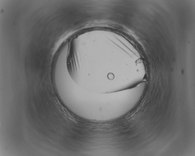 X0000078271312200612011709