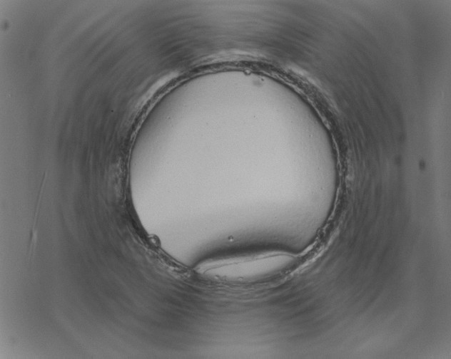 X0000078271313200612011709