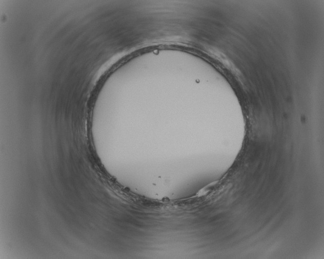 X0000078271316200612011709