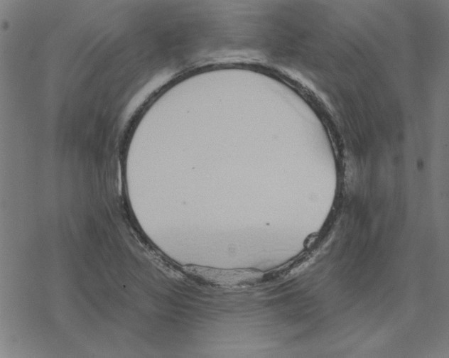 X0000078271317200612011709