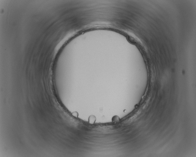 X0000078271325200612011709