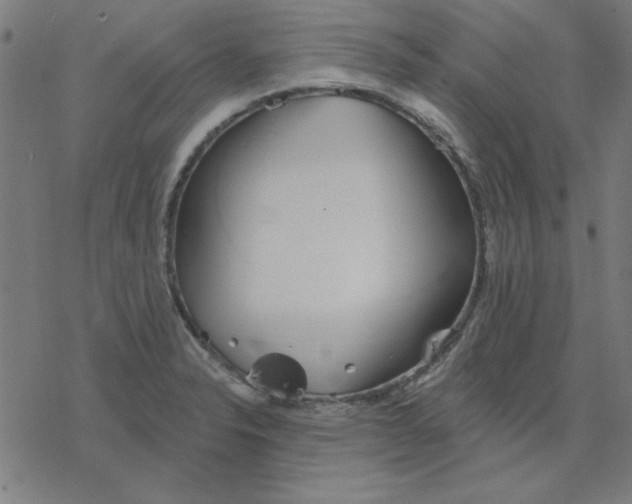 X0000078271326200612011709