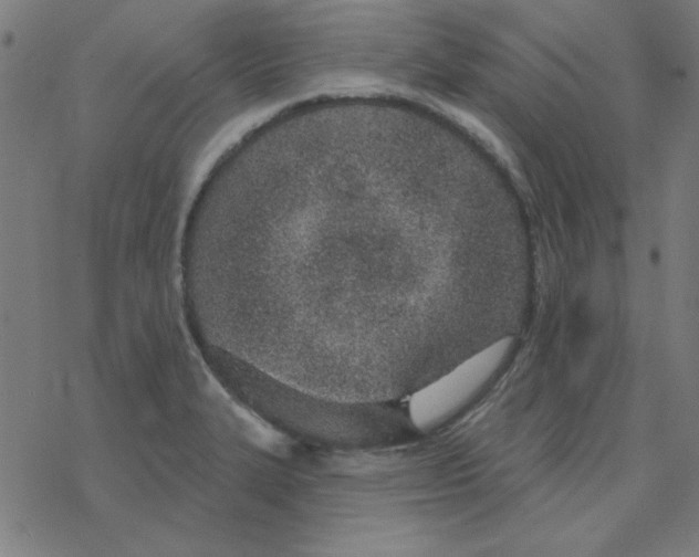 X0000078271327200612011709