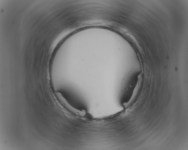 X0000078271328200612011709