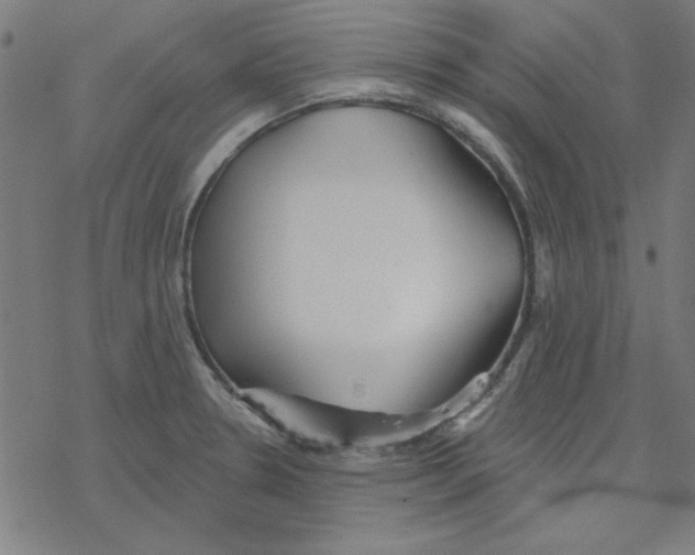 X0000078271330200612011710