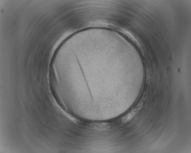 X0000078271331200612011710