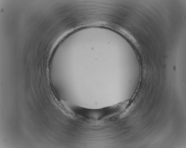 X0000078271332200612011710