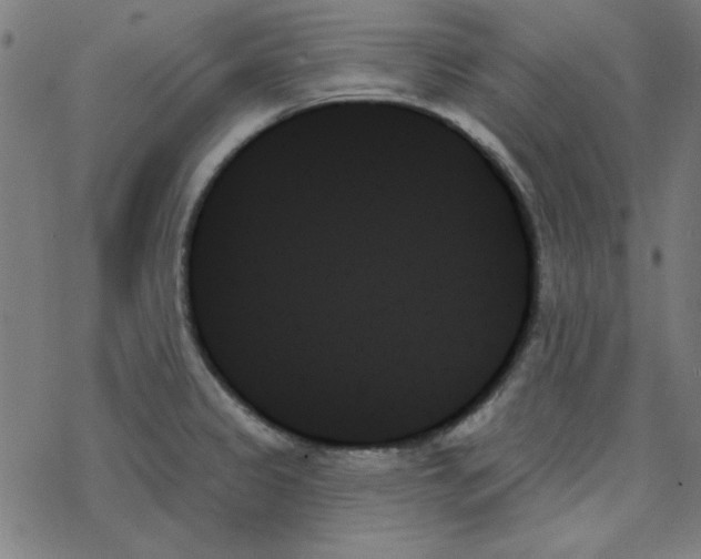 X0000078271333200612011710