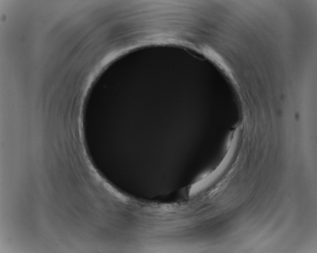 X0000078271334200612011710