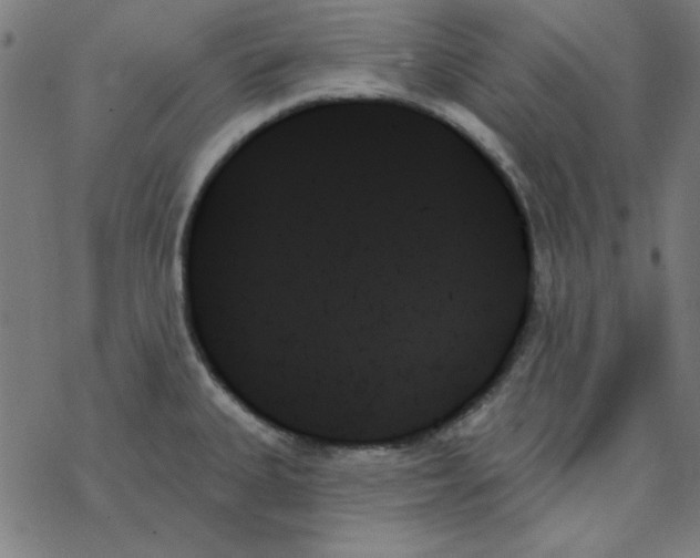 X0000078271335200612011710