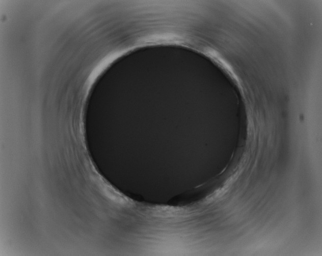 X0000078271336200612011710