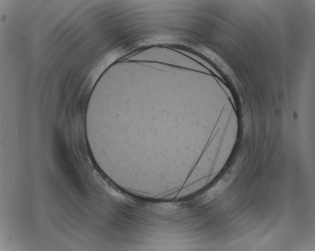 X0000078271337200612011710