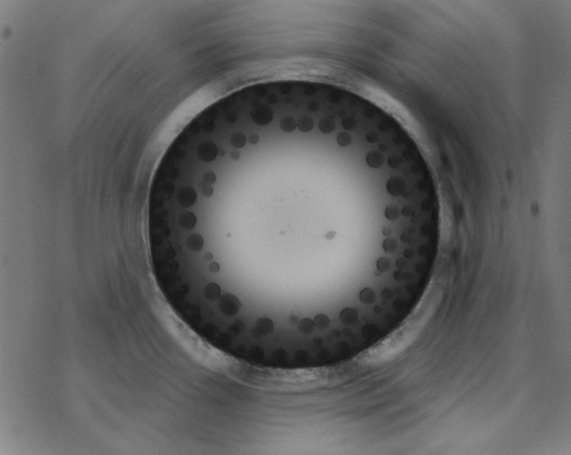 X0000078271338200612011710