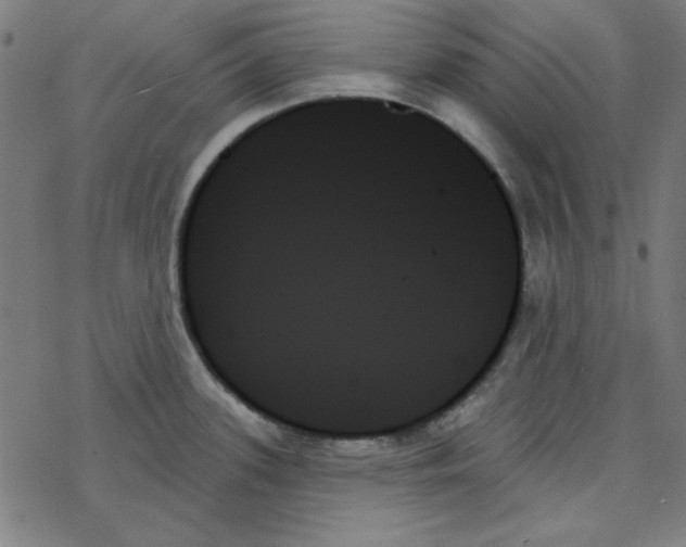 X0000078271339200612011710