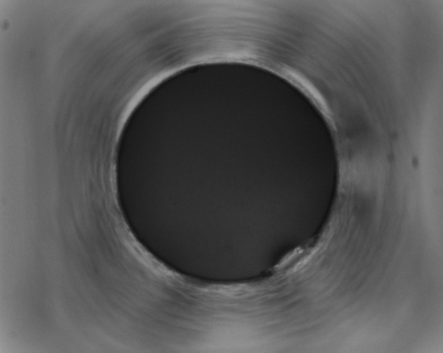 X0000078271340200612011710