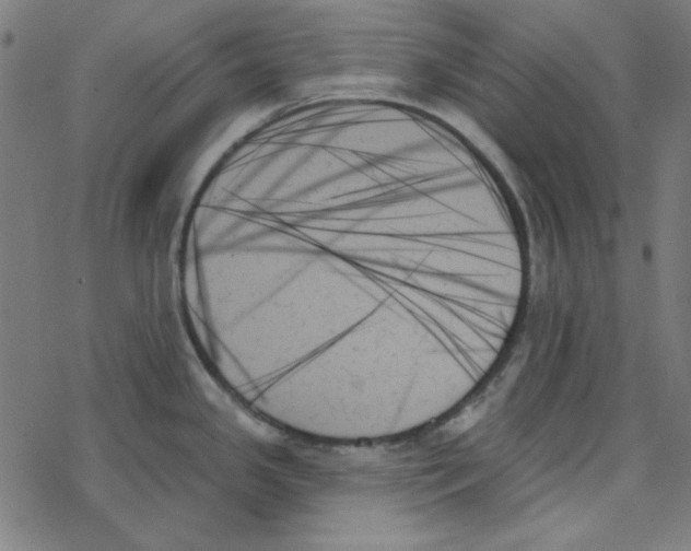 X0000078271341200612011710