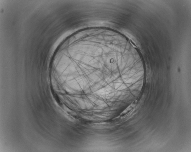 X0000078271342200612011710