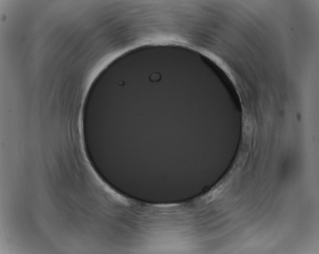 X0000078271343200612011710