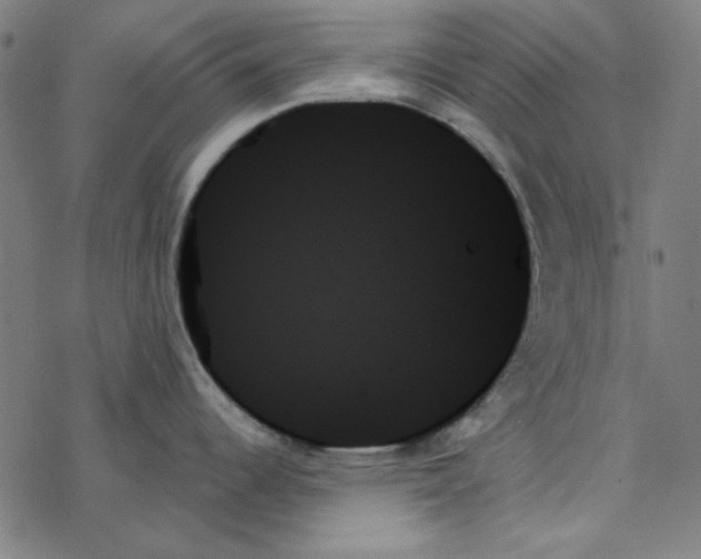 X0000078271344200612011710