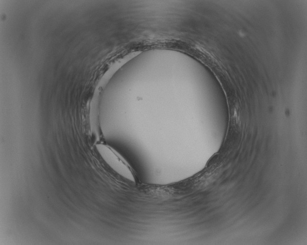 X0000078271348200612011709