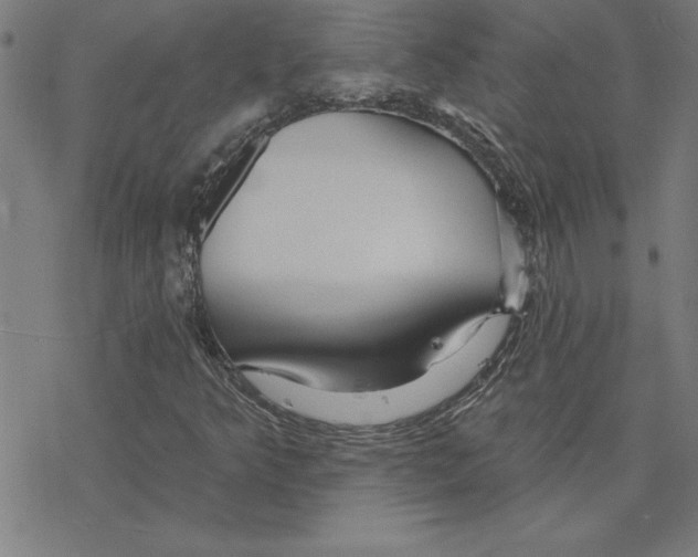 X0000078271349200612011709