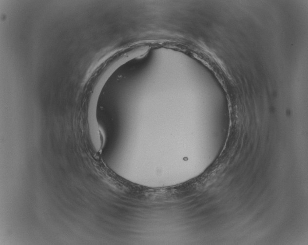 X0000078271352200612011709