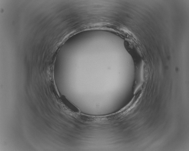 X0000078271353200612011709