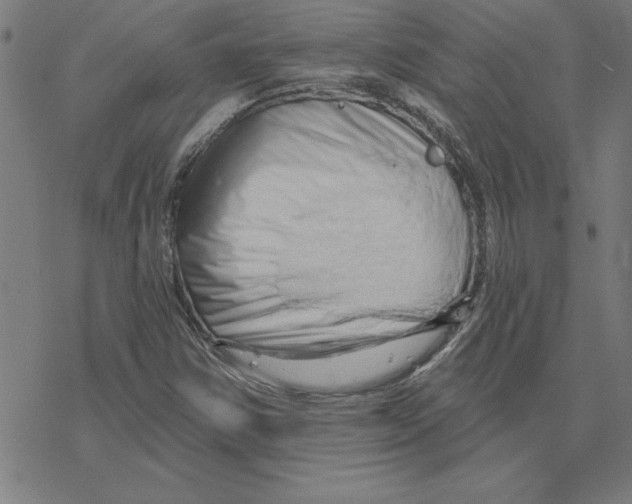 X0000078271354200612011709