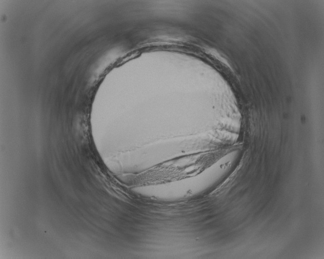 X0000078271355200612011709