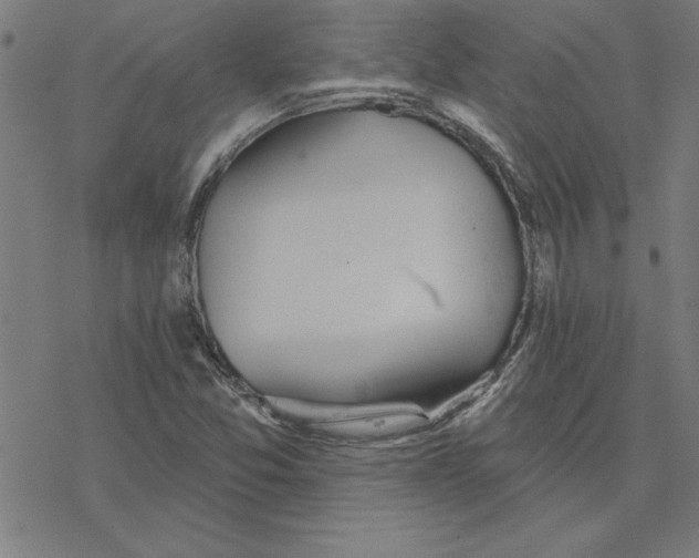 X0000078271357200612011709