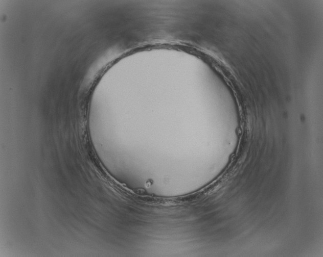 X0000078271359200612011709