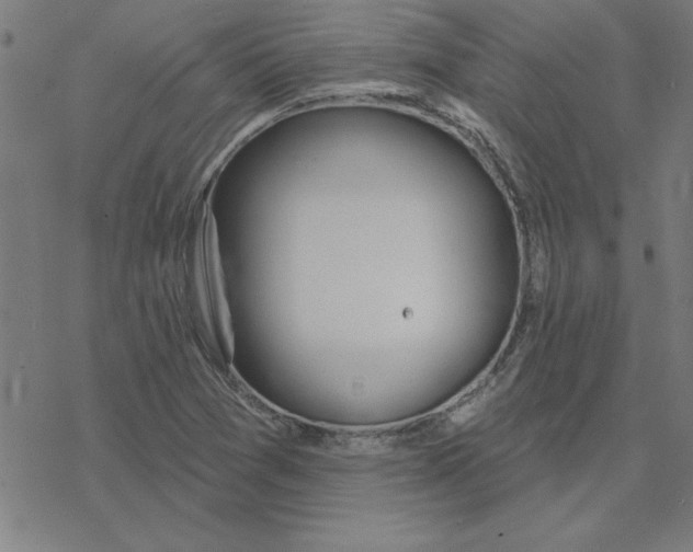 X0000078271361200612011709