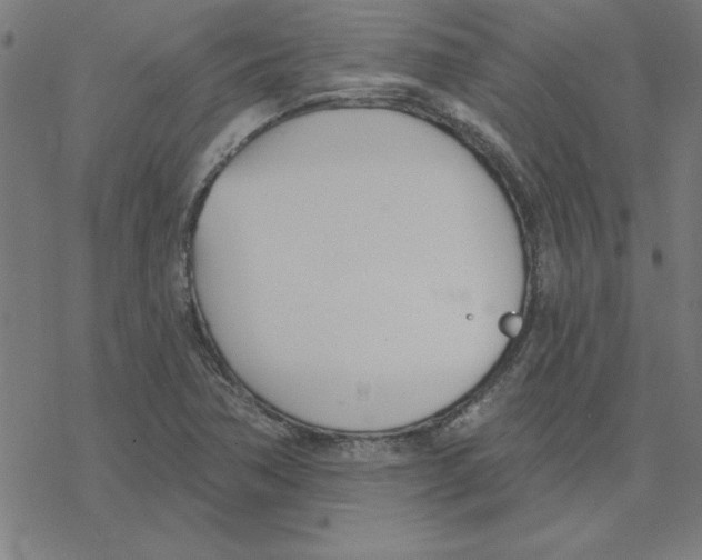 X0000078271362200612011709