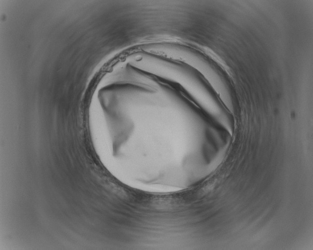 X0000078271364200612011709