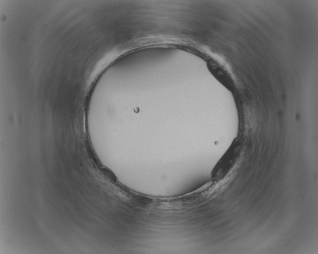 X0000078271365200612011709